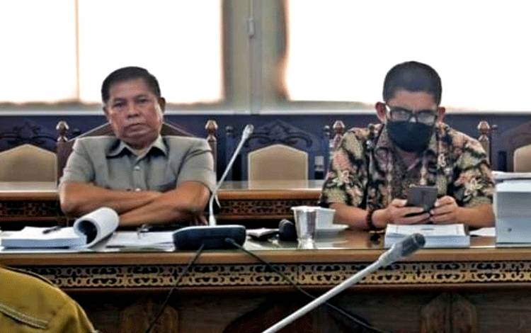 Legislator Kalteng Ajak Masyarakat Konsumsi Beras Lokal