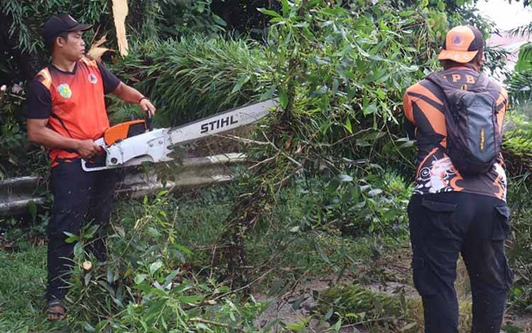 BPBD Palangka Raya Evakuasi Pohon Tumbang di Sei Gohong