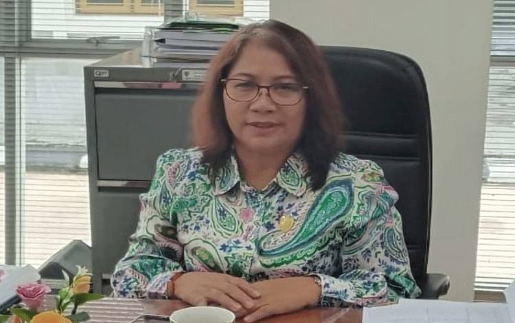 Dewan Minta Pemda di Kalteng Tingkatkan Sinergitas Dengan PLN