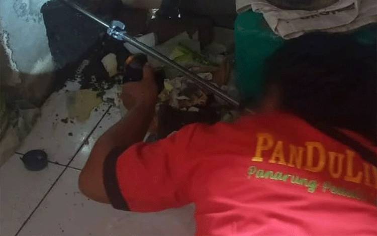 Warga di Panarung Kaget Melihat Ada Ular di Bawah Meja Kompor Dapur