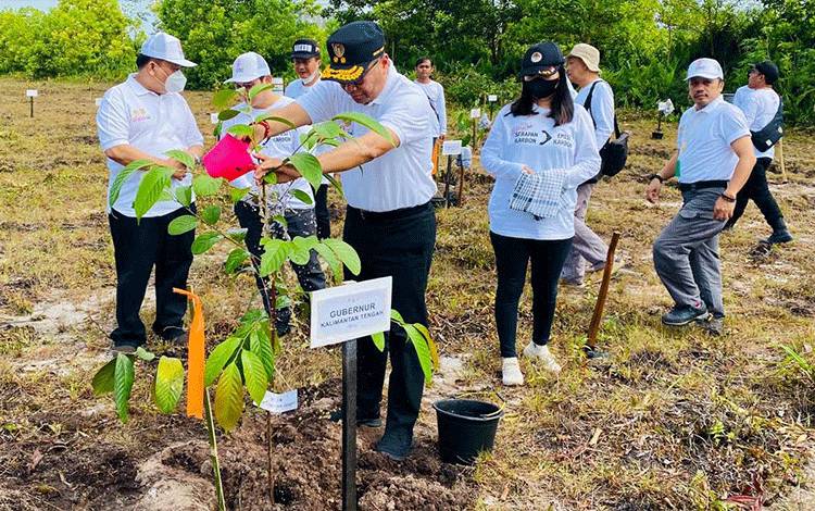Hari Bakti Rimbawan Momen Hijaukan Bumi dan Birukan Langit