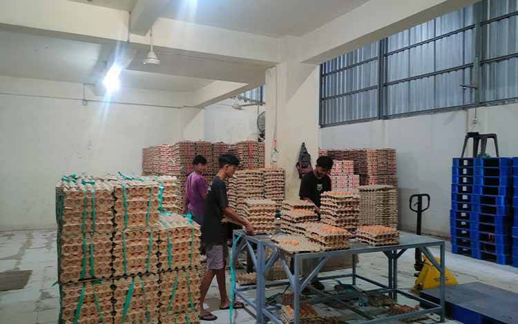 Harga Telur di Sampit Diprediksi Terus Meningkat Jelang Ramadan