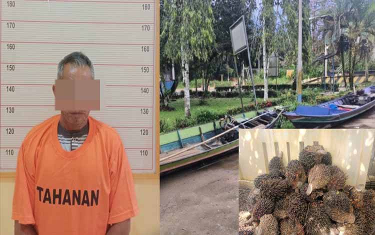 Curi Buah Sawit, Tersangka Angkut Hasil Curian Gunakan Kelotok