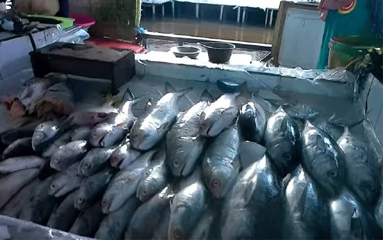 Kebijakan Penangkapan Ikan Terukur Permudah Pembagian Kuota Tangkap Ikan