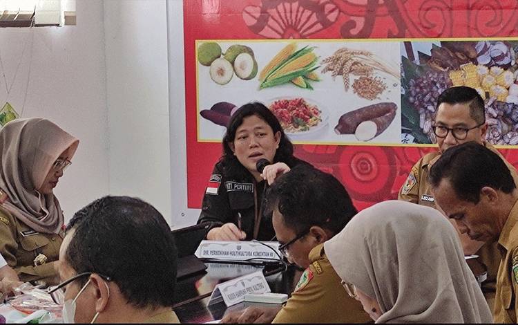 Kementan Tegaskan Kesiapan Bantu Daerah Pasok Bapok