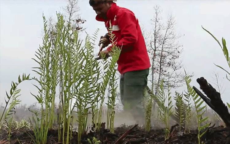 Perencanaan Kontingensi Penting Meminimalisir Resiko Bencana