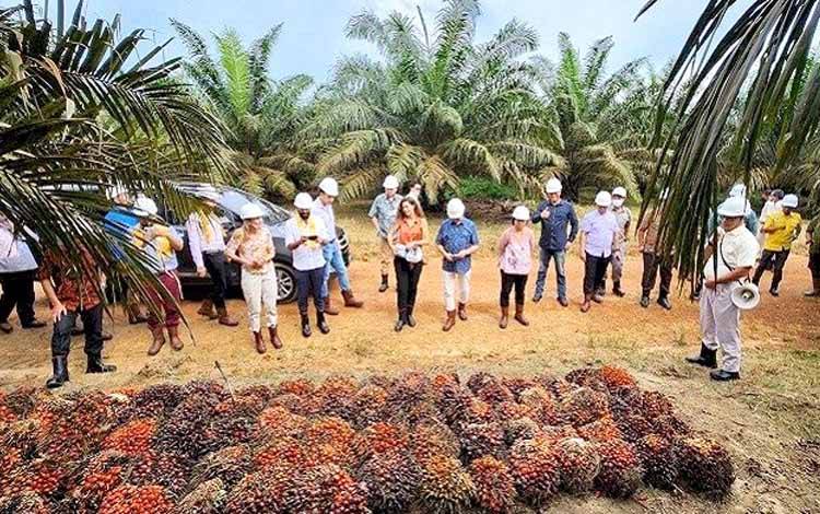 Produk Turunan Sawit Jadi Kebutuhan Pelaku UKM Solo