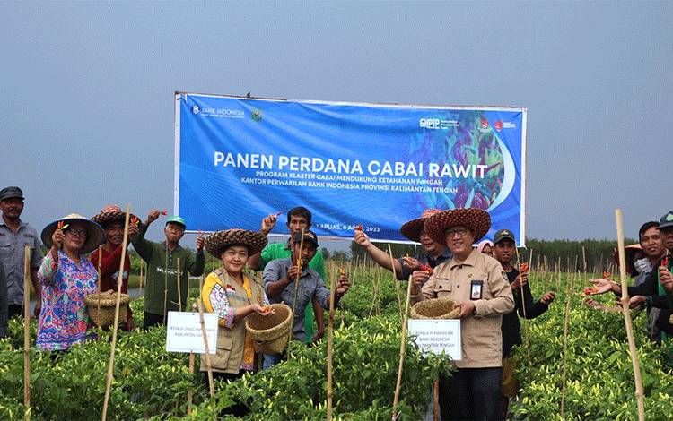 BI Kalteng Harapkan Bantuan Kepada Petani Dapat Dimanfaatkan dengan Baik