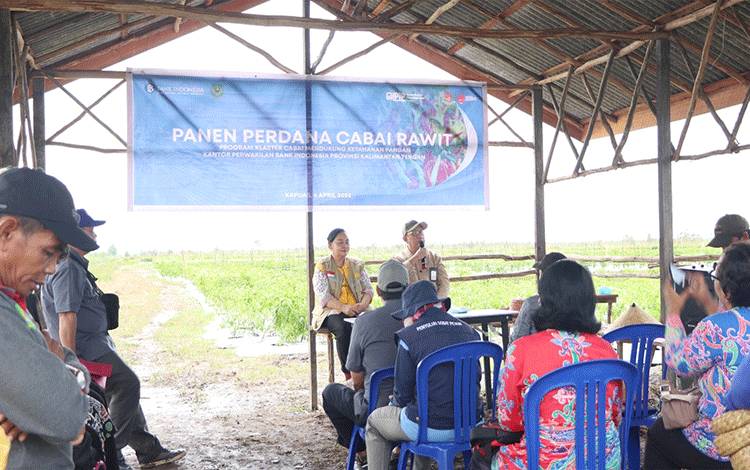 Banyak Petani Gagal Panen Akibatkan Harga Beras Melejit