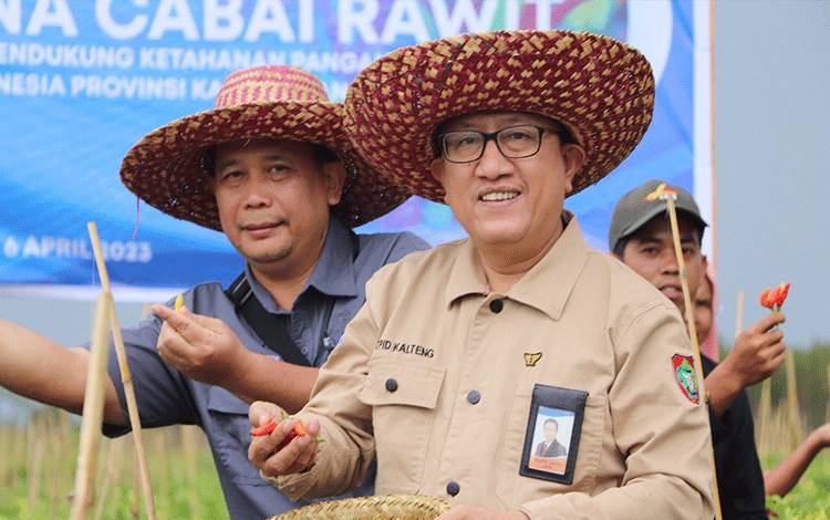 BI Kalteng: Kenaikan Harga Beras Dipicu Harga Beli Gabah dan HET
