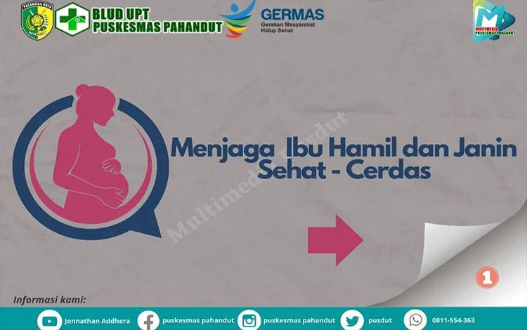 Enam Tips Menjaga Kesehatan Ibu Hamil dan Kecerdasan Janin