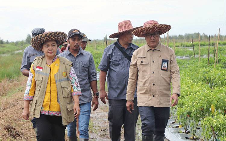 Pemerintah Akali Kenaikan Harga Beras