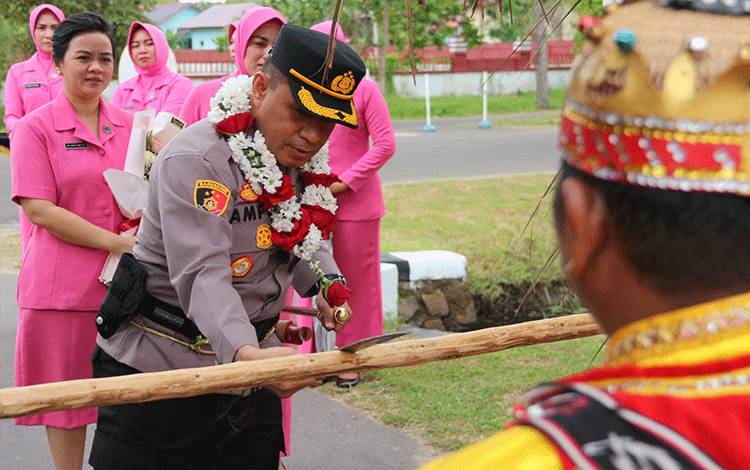 Potong Pantan Sambut Kedatangan AKBP Ampi Mesias Von Bulow di Mapolres Seruyan