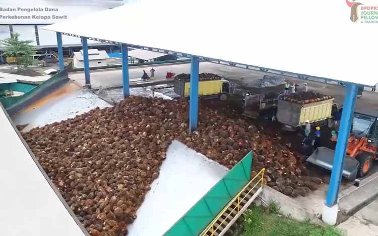 Triana Meinarsih Sampaikan Roadmap BPDPKS Pengembangan Sawit Berkelanjutan