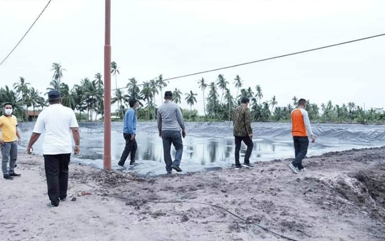 Program Shrimp Estate Provinsi Kalteng Mulai Dilaksanakan di Sukamara?