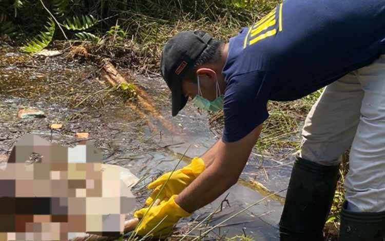 Satu Minggu Tidak Pulang ke Rumah, Seorang Lansia di Kapuas Ditemukan Tak Bernyawa