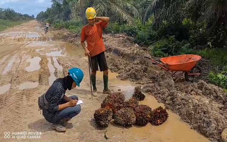 BPDPKS: Insentif Biodiesel Ditetapkan oleh Kementerian ESDM