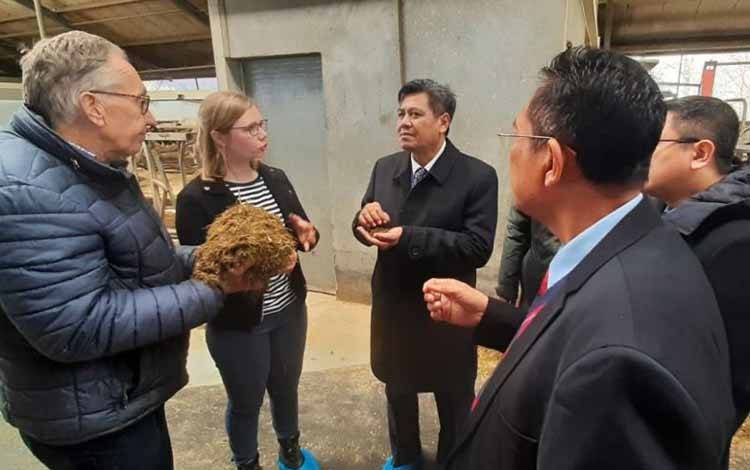 Kemenperin Jajaki Peluang Investasi Sapi Perah dengan Belanda