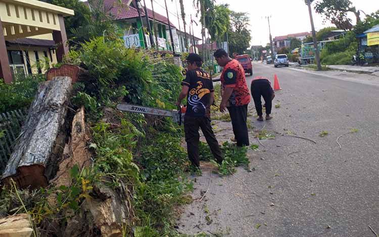 BPBD Palangka Raya Pangkas Pohon Angsana Rawan Tumbang