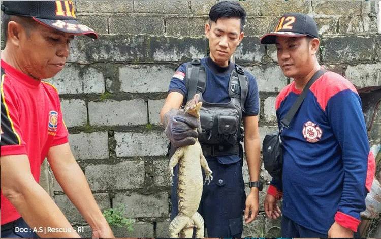 Biawak Masuk Rumah