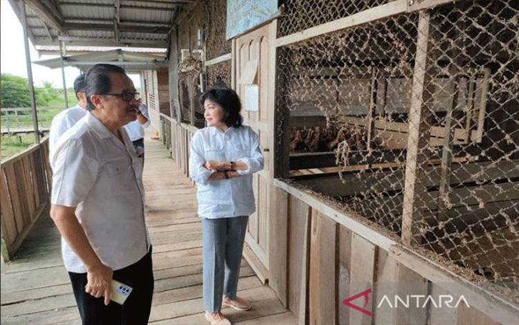 Anggota DPD RI: Program Food Estate Kalteng Mulai Dirasakan Petani