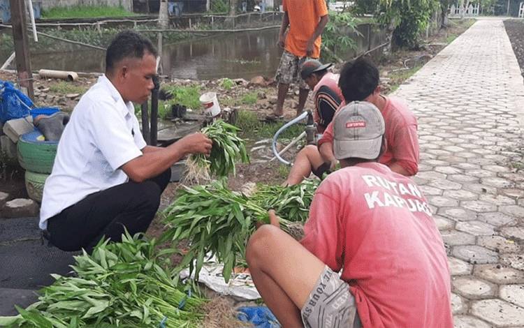 WBP Rutan Kuala Kapuas Kembali Panen Kangkung?