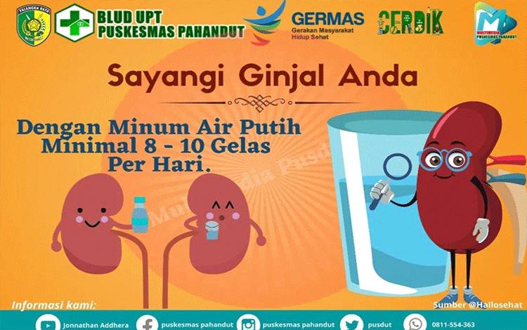 Ini Tips Menyayangi Ginjal Ala Kepala Puskesmas Pahandut