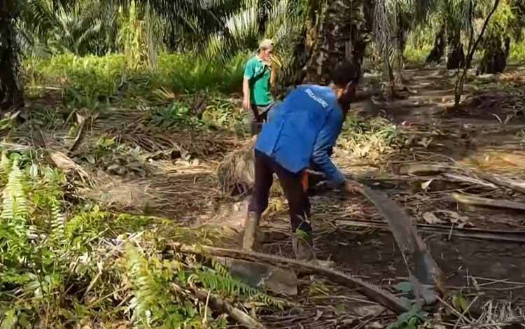 Perseroan SSMS Bukukan Volume Penjualan Hingga Rp7,26 Triliun