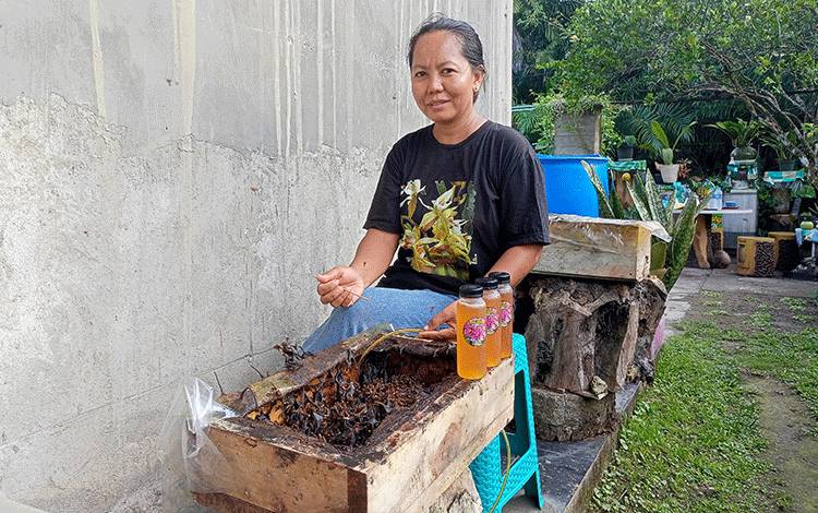 Wanita Ini Sukses Budidaya Lebah Kelulut Sejak Awal Pandemi Covid-19