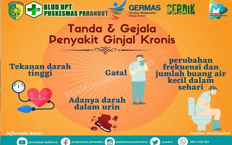 Kenali Tanda Penyakit Ginjal Kronis (FOTO : BLUD UPT PUSKESMAS PAHANDUT)
