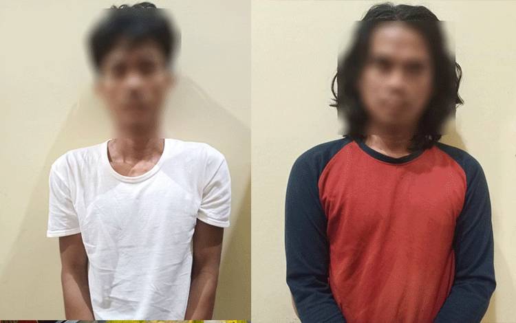 Dua Pelaku Pencurian Buah Sawit Diringkus