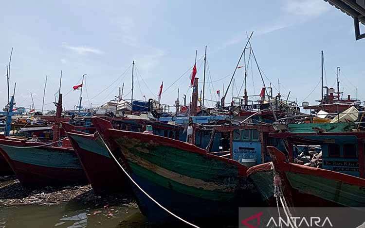 HNSI: Pencarian 11 ABK yang Hilang di Samudra Hindia Dihentikan