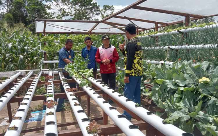 Pemkab Sukamara Kembali Tata dan Ganti Tanaman Persiapkan PEDA KTNA Provinsi Kalteng?
