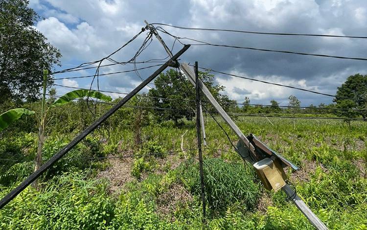 Dadang Dorong PLN Segera Perbaiki Kabel di Jalan Karya Bersama Sampit, Kondisinya Membahayakan
