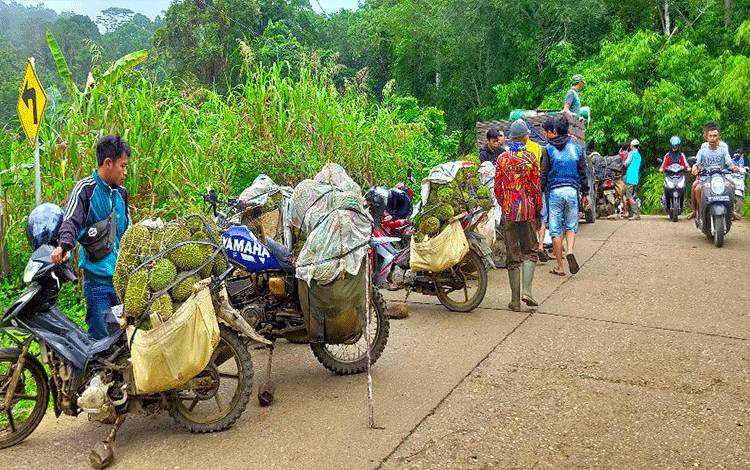 Banjir Durian, Rp5.000 per Buah