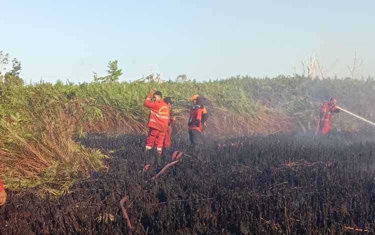 BPBPK Kalteng Instruksikan Kabupaten Segera Tetapkan Status Tanggap Darurat Karhutla  ?