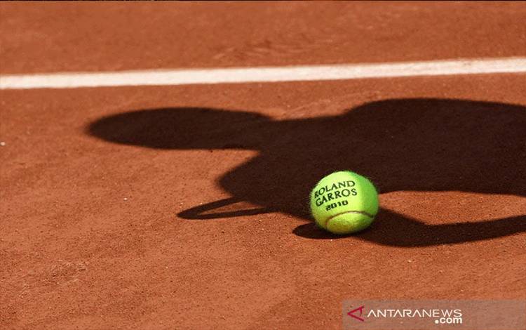 Djokovic Kalahkan Alcaraz yang Kram untuk Capai Final French Open