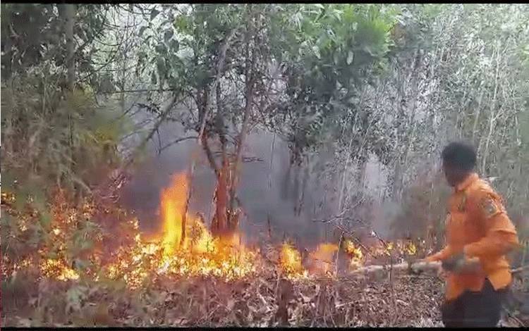 Puluhan Hektare Lahan di Desa Sei Bakau Ludes Terbakar