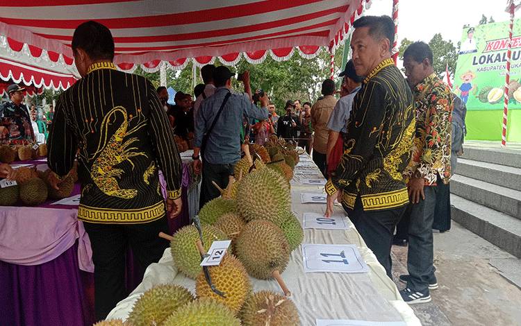 Kontes Durian Lokal Unggul Diharapkan Idientifikasi Durian yang Menjadi Identitas Sukamara