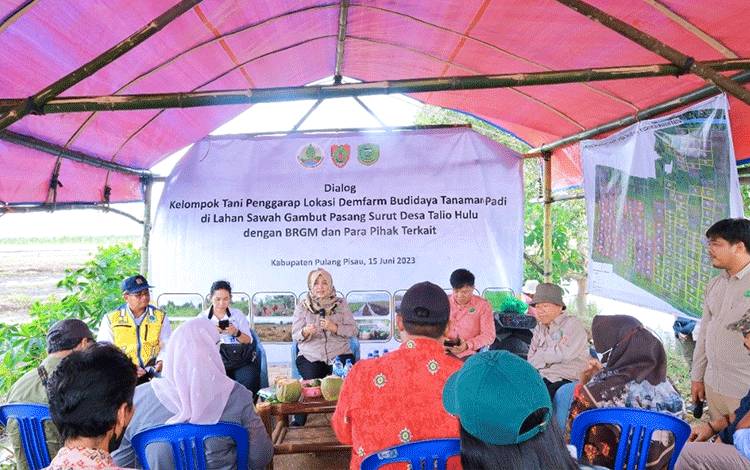 Perlu Peran Bersama Optimalkan Lahan Gambut