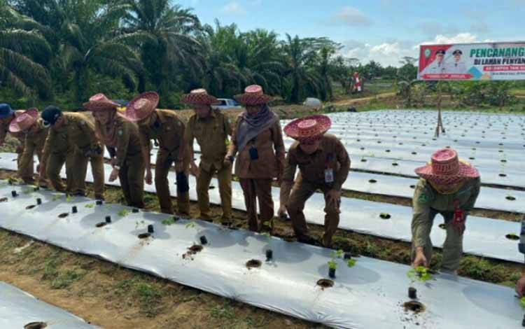 Dinas Pertanian Kotim Dukung Penuh Sensus Pertanian 2023