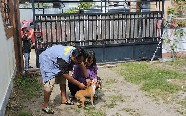 Jangan Sepelekan Hewan Penular Rabies Usia Muda
