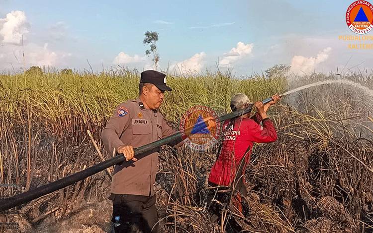 Satgas Terjunkan Tim Darat dan Udara Padamkan Karhutla di Kalteng