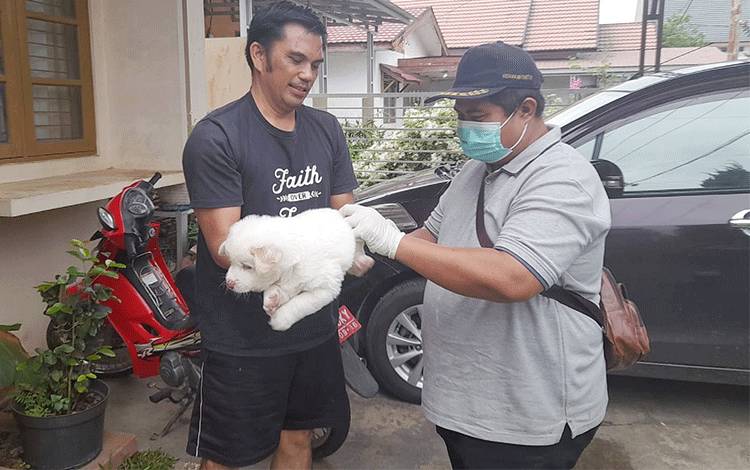 Bupati Barito Timur Keluarkan Surat Edaran Terkait Penularan Rabies