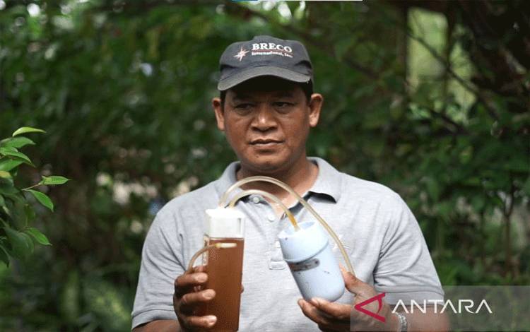 Menikmati Manisnya Madu Trigona untuk Persiapan Pensiun