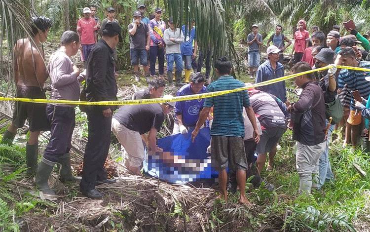 Pemanen Sawit di Barito Timur Diduga Meninggal Tertimpa Buah Sawit