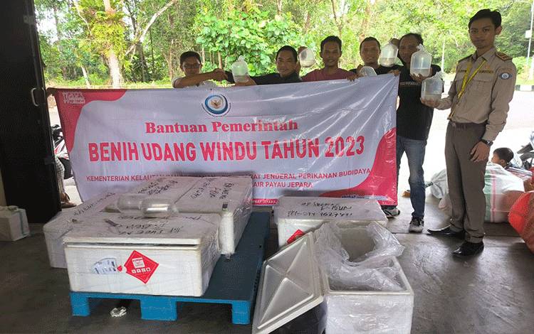 Bantuan Benih Udang di Kalteng Upaya Sukseskan Target Ekspor 2 Juta Ton Pada 2024