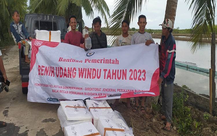 Dislutkan Kalteng Harap Bantuan Benih Hasilkan Udang Berkualitas