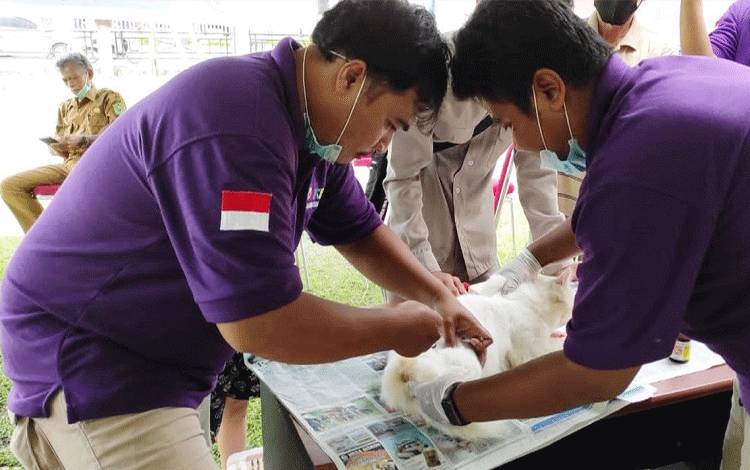 Pemkab Lamandau Serius Cegah Wabah Rabies