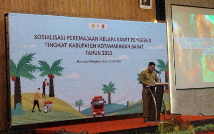 Pemkab Kobar Sosialisasi Peremajaan Sawit Tingkatkan Produktivitas Perkebunan